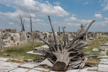 Cementerio abandonado por haber quedado bajo el agua, en primer plano raices de árbol seco - obrazy, fototapety, plakaty
