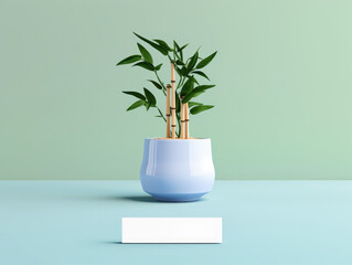 Modern bamboo plant in white pot with a label, green blue background, minimalism