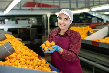 Zelfklevend Fotobehang Smiling young female sorter working on citrus sorting line in agricultural produce processing factory, holding pile of ripe mandarins © JackF