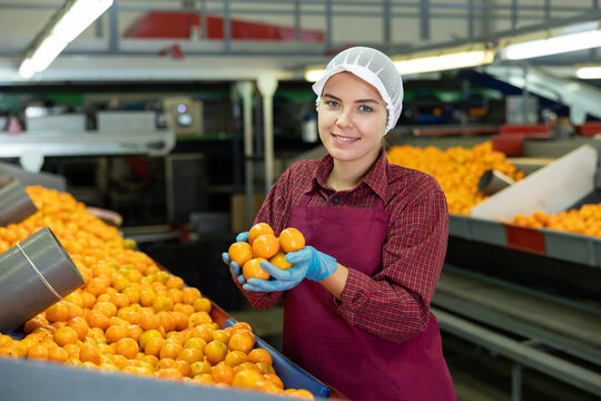 Smiling young female sorter working on citrus sorting line in agricultural produce processing factory, holding pile of ripe mandarins