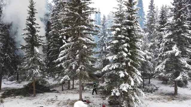 Prescribed fire