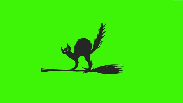 Silhouette cat on green screen. Animated silhouette cat. Green screen animation