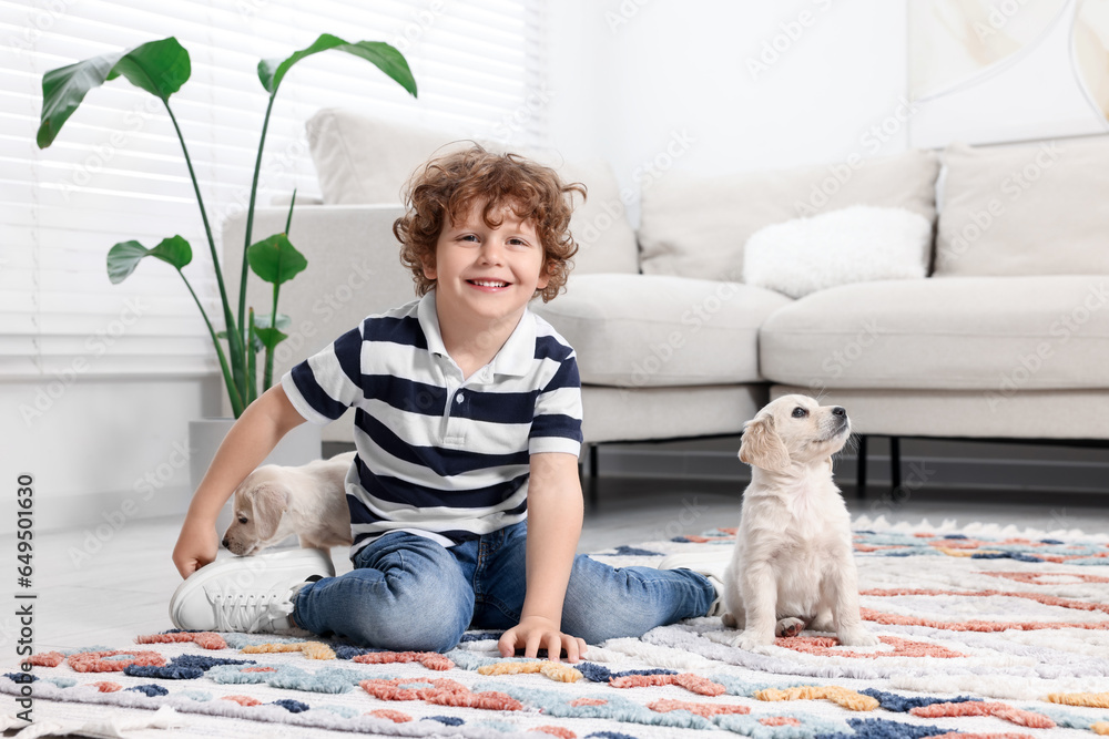 Sticker Little boy with cute puppies on carpet at home