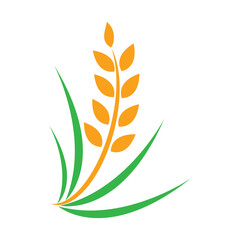 Fototapeta premium Agriculture wheat Logo