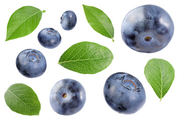 Set with fresh ripe blueberries and green leaves isolated in white