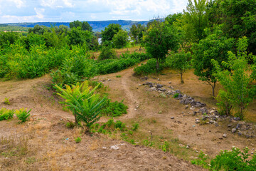 Ruins or remains from the Jewish cemetery in the village of Vadul-Rashkov Moldova. Background with selective focus