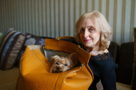 Portrait of woman with Yorkshire terrier sitting in bag 