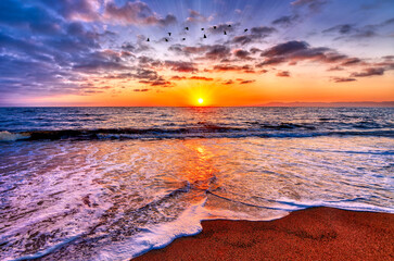 Inspirational Sunset Birds Nature Ocean Beach Surreal Color Uplifting Beach Sunrise Abstract
