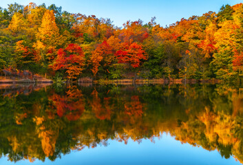 Autumn Reflections by the Lake. Peaceful lake surrounded by colorful autumn foliage. Trees mirrored in the calm water.