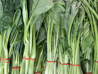 fresh chinese kale in the market