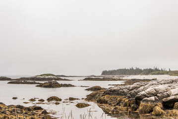 Exploring the beach in the mist morning at Kejimkujik National Park Seaside, Nova Scotia, Canada - 649558465