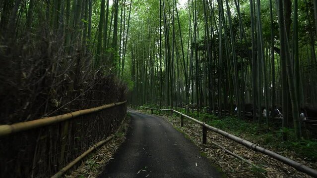 京都　嵐山　竹林　日本