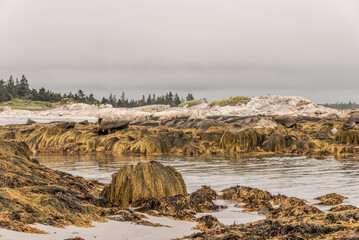 Exploring the beach in the morning at Kejimkujik National Park Seaside, Nova Scotia, Canada