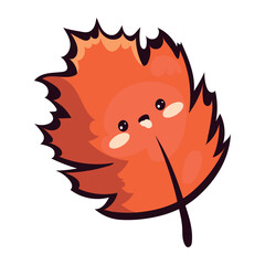 autumn kawaii cute leaf