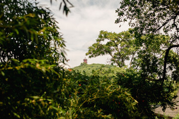 Obraz premium Tower On Distant Hill