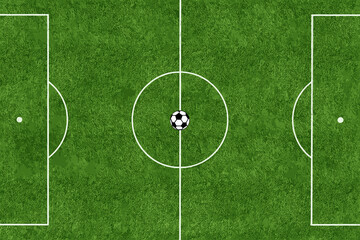 soccer field with grass