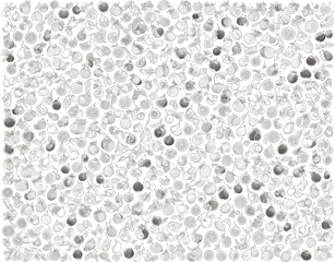 Abstract black and white pattern of fruits. Generated by AI.