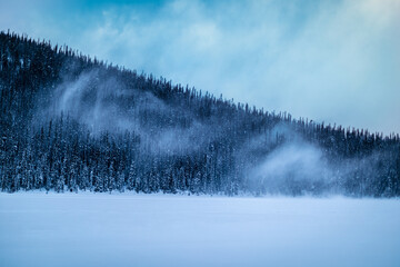 Fog Over Cold Winter Trees