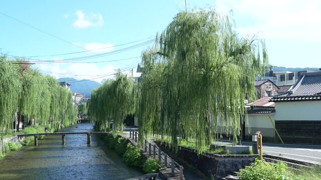 京都　白河通り　日本