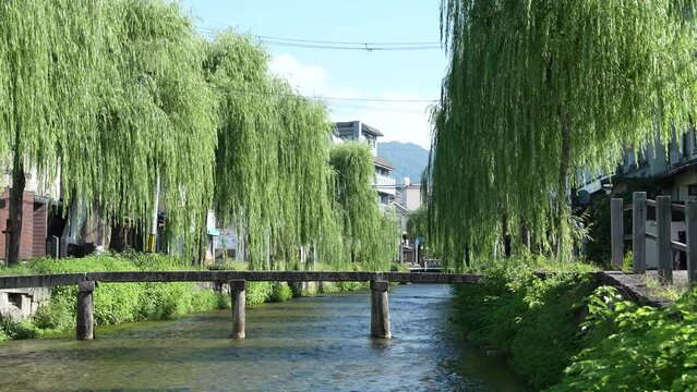 京都　白河通り　日本