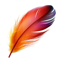 Phoenix Feather, transparent background, isolated image, generative AI
