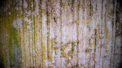 Old dirty walls covered in moss and mold