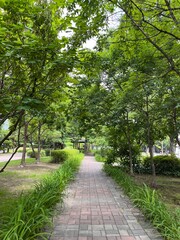footpath in the park