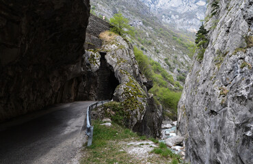 Gryka e rugoves in Kosovo