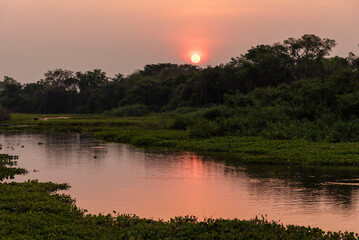 Fototapeta na wymiar Beautiful sunset landscape by Pixaim River, Pantanal of Poconé
