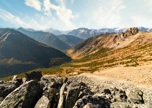 Golden Larch Mountain Landscape in the Purcell Mountains, Britis