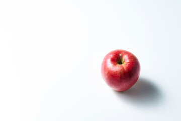 白背景で撮影された野菜の写真