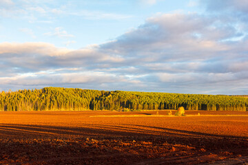 Autumn plowed field with colorful foliage trees on sunny day