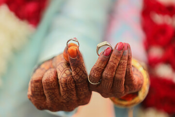 The bride and groom showing wedding  Rings