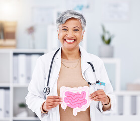 Portrait, doctor and mature woman with intestine model in hospital clinic. Face, gastroenterology...