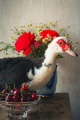 beautiful portrait of a duck in flowers pet duck
