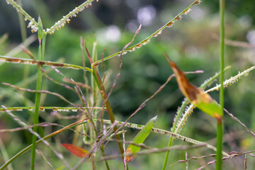 Flat lay of small plants around the house
