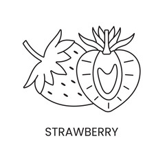 Strawberry line icon in vector, berry illustration.