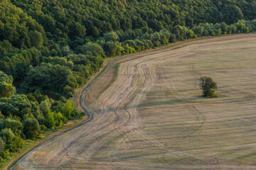 Agricultural Rolling Spring Autumn Landscape. Natural Landscape In Brown And Yellow Color. Waved...