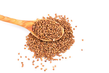 Uncooked buckwheat on wooden spoon