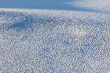 Texture of white snow with blue shadows