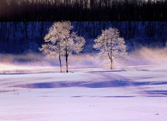 Deurstickers 川霧と霧氷(更別村） © itoh masako