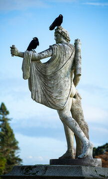 Gloomy or sinister statue of Eros with 2 sinister crows on the head and harm. 2 black ravens on Eros ' statue convey bad, dark feeling and rejection for love