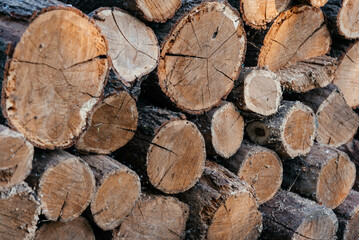 Close up of logs stored to dry for use in a log burner. 