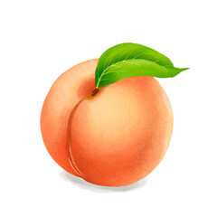 A peach with leaves.