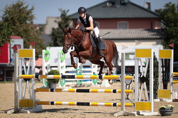 Horse, jumping horse, with rider jumping over an obstacle, photographed in landscape format.
