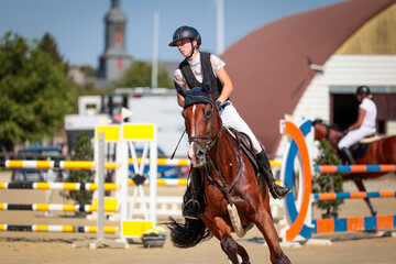 Horse, show jumping horse, with rider galloping between two obstacles, photo from the front.