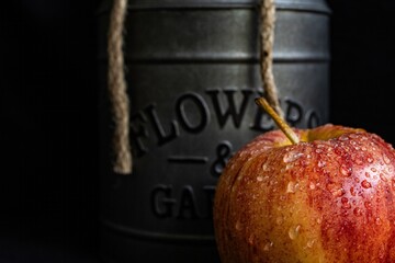 red apple on black, Still life, fruit against a black background 