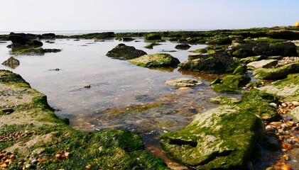 Plage d'Ambleteuse au bord de La Manche dans le Pas-de-Calais sur la côte d'Opale région Hauts-de-France