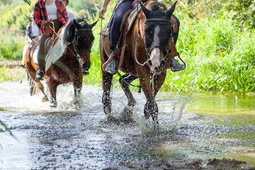 Horse ride, young girls riders, crossing a river on horseback.
