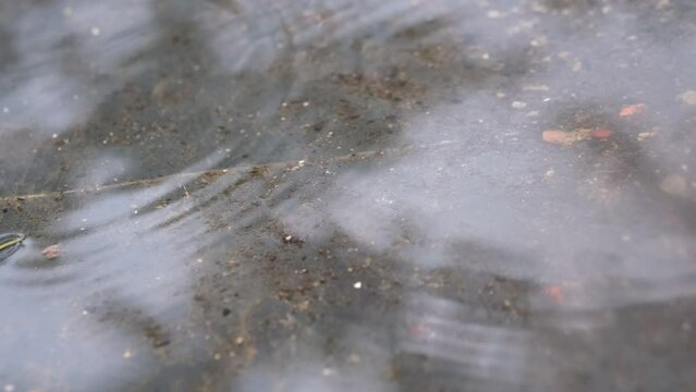 4k v&iacute;deo gotas de lluvia cayendo sobre un charco de agua creando ondas.